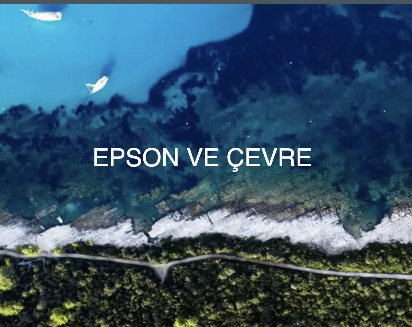 Epson ve Çevre Duyarlılığı